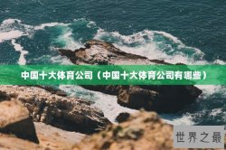 中国十大体育公司（中国十大体育公司有哪些）