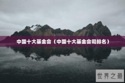 中国十大基金会（中国十大基金会司排名）