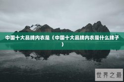 中国十大品牌内衣是（中国十大品牌内衣是什么牌子）