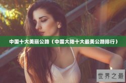 中国十大美丽公路（中国大陆十大最美公路排行）