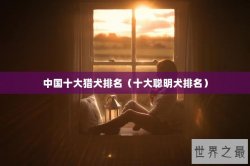 中国十大猎犬排名（十大聪明犬排名）