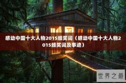 感动中国十大人物2015颁奖词（感动中国十大人物2015颁奖词及事迹）