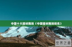 中国十大建材商场（中国建材商场排名）