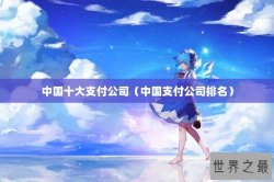 中国十大支付公司（中国支付公司排名）