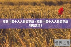 感动中国十大人物的事迹（感动中国十大人物的事迹和颁奖词）