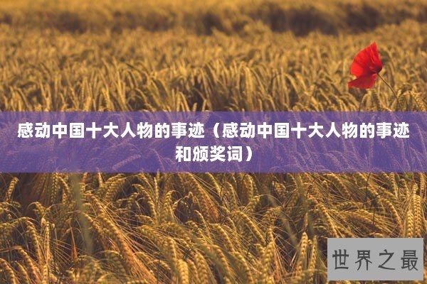 感动中国十大人物的事迹（感动中国十大人物的事迹和颁奖词）