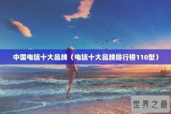 中国电镐十大品牌（电镐十大品牌排行榜110型）