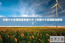 中国十大名酒到底是哪十大（中国十大名酒都是那些）