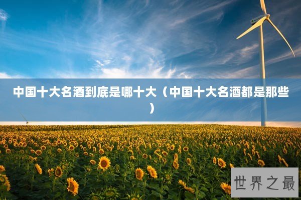 中国十大名酒到底是哪十大（中国十大名酒都是那些）