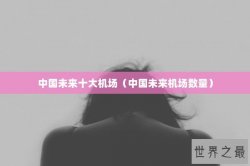 中国未来十大机场（中国未来机场数量）