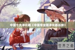 中国十大净化器（中国专业做净化器品牌）