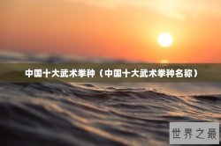 中国十大武术拳种（中国十大武术拳种名称）
