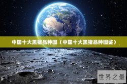 中国十大黑猪品种图（中国十大黑猪品种图鉴）