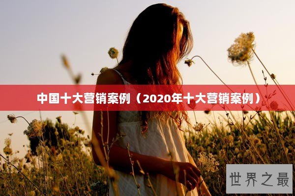 中国十大营销案例（2020年十大营销案例）
