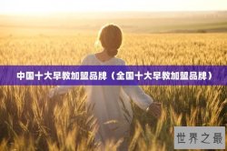 中国十大早教加盟品牌（全国十大早教加盟品牌）