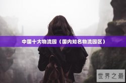 中国十大物流园（国内知名物流园区）