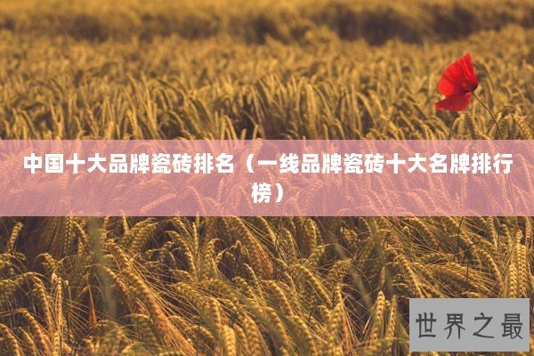 中国十大品牌瓷砖排名(一线品牌瓷砖十大名牌排行榜) 中国十大品牌瓷砖排名(一线品牌瓷砖十大名牌排行榜)