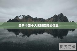 关于中国十大名牌面膜的信息