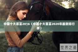 中国十大首富2016（中国十大首富2020年最新排行榜）