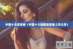 中国十大逆变器（中国十大储能逆变器上市公司）