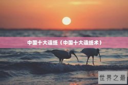 中国十大造纸（中国十大造纸术）