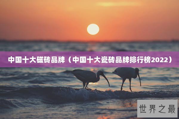 中国十大磁砖品牌（中国十大瓷砖品牌排行榜2022）