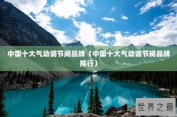 中国十大气动调节阀品牌（中国十大气动调节阀品牌排行）