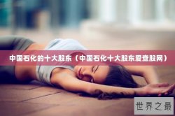 中国石化的十大股东（中国石化十大股东爱查股网）