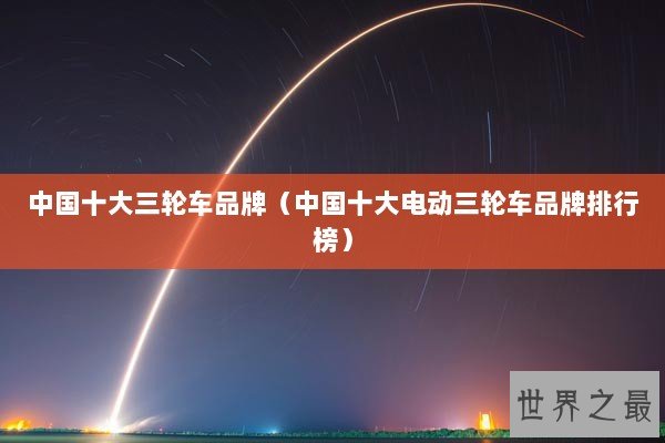 中国十大三轮车品牌（中国十大电动三轮车品牌排行榜）