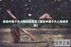 感动中国十大人物的颁奖词（感动中国十大人物颁奖词）