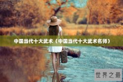 中国当代十大武术（中国当代十大武术名师）
