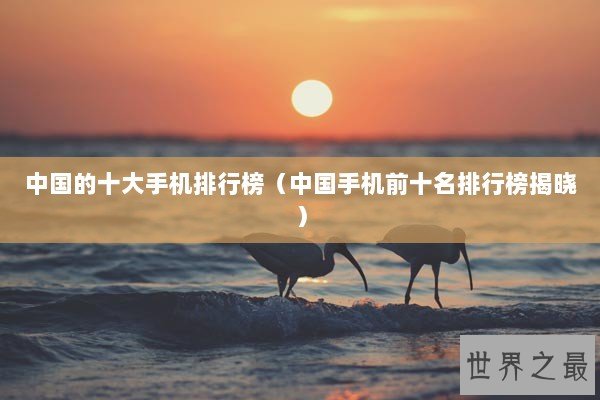 中国的十大手机排行榜（中国手机前十名排行榜揭晓）