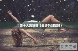 中国十大浏览器（最好的浏览器）
