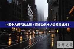 中国十大燃气热水器（官方公认十大名牌集成灶）