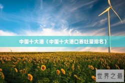 中国十大港（中国十大港口吞吐量排名）