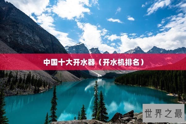 中国十大开水器（开水机排名）