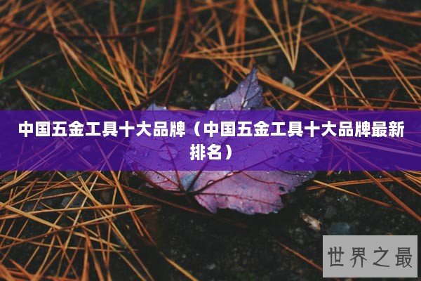 中国五金工具十大品牌（中国五金工具十大品牌最新排名）