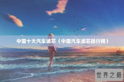 中国十大汽车滤芯（中国汽车滤芯排行榜）