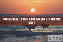 中国运动服装十大名牌（中国运动服装十大名牌市值排名）