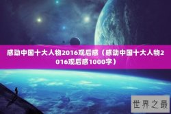 感动中国十大人物2016观后感（感动中国十大人物2016观后感1000字）