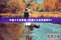 中国十大名茶壶（中国十大名茶壶图片）