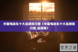 中国电动车十大品牌排行榜（中国电动车十大品牌排行榜,品牌网）