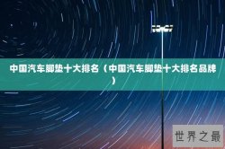 中国汽车脚垫十大排名（中国汽车脚垫十大排名品牌）