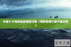 中国十大电热毯品牌排行榜（电热毯哪个牌子最正规）