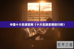 中国十大名牌官网（十大名牌官网排行榜）