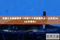 中国十大奇异事件（中国十大灵异事件之一之北京303公交事件）