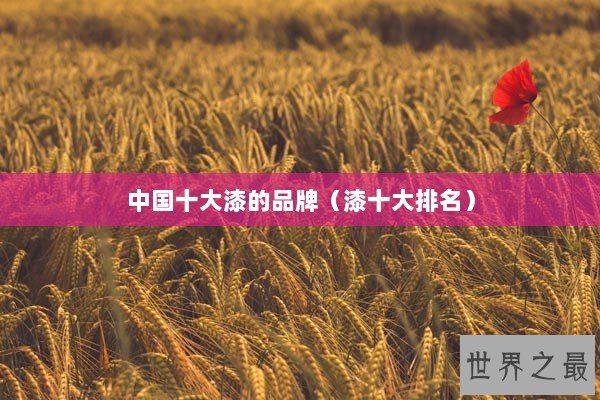 中国十大漆的品牌（漆十大排名）