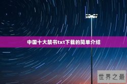 中国十大禁书txt下载的简单介绍