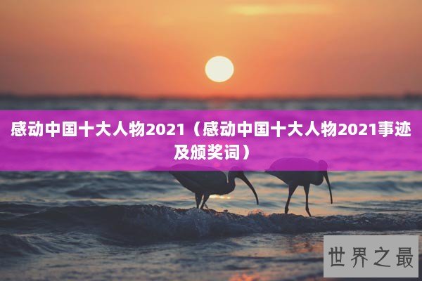感动中国十大人物2021（感动中国十大人物2021事迹及颁奖词）