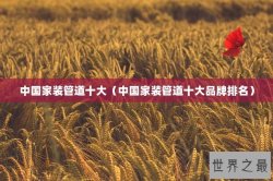 中国家装管道十大（中国家装管道十大品牌排名）